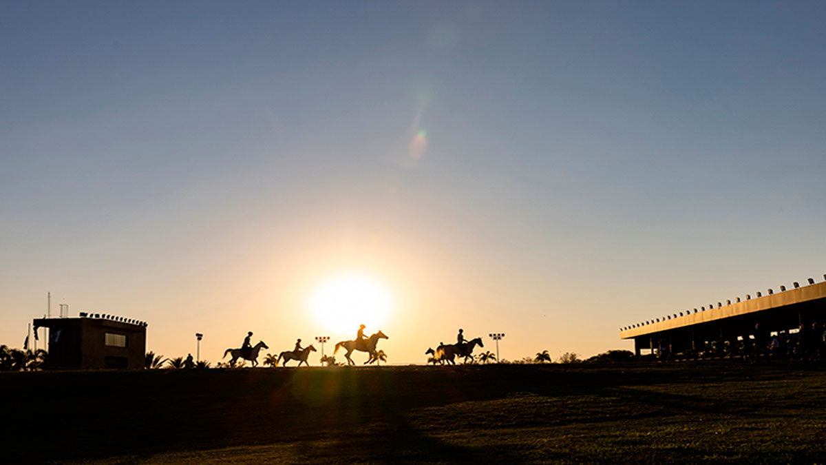Brasil é palco do Pan-americano de Enduro Equestre